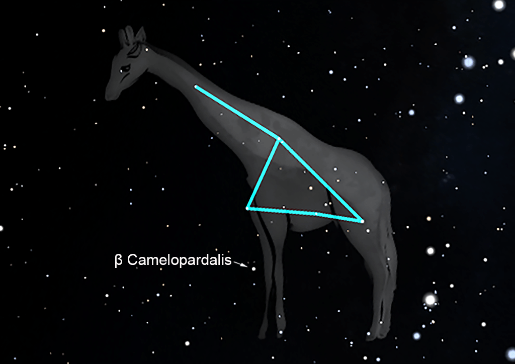 Camelopardalis
