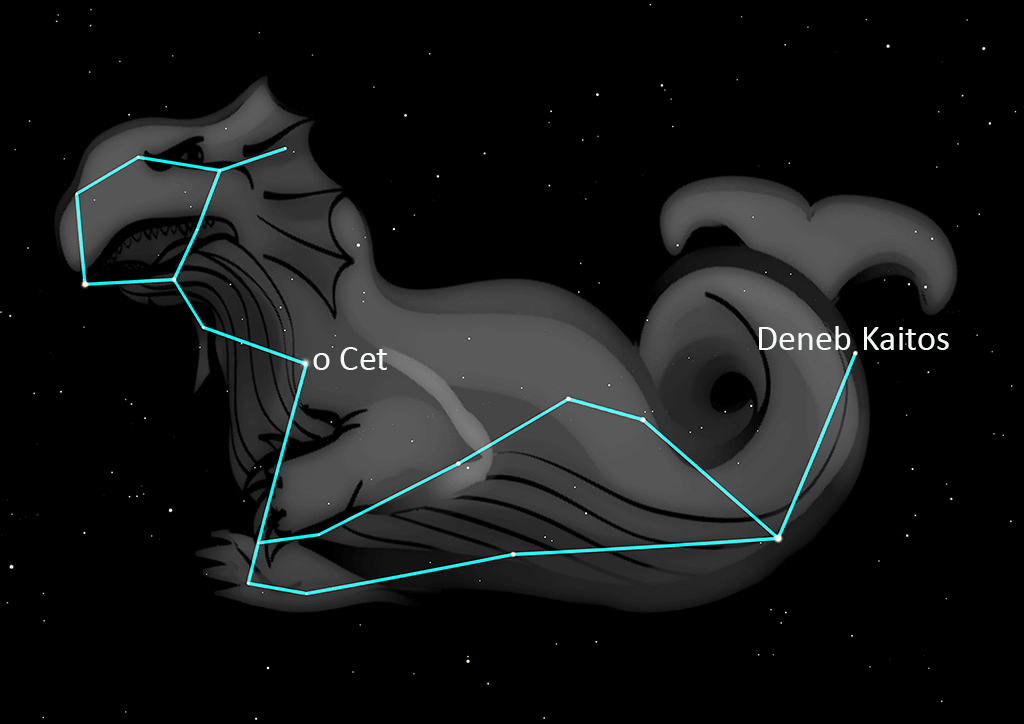 Cetus