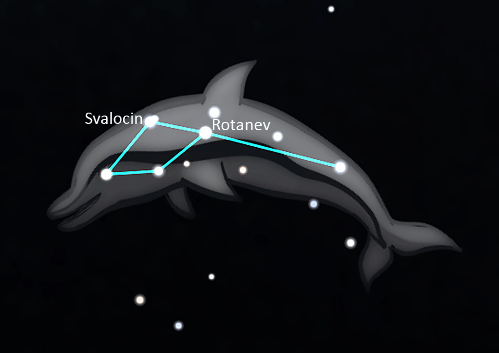 Delphinus