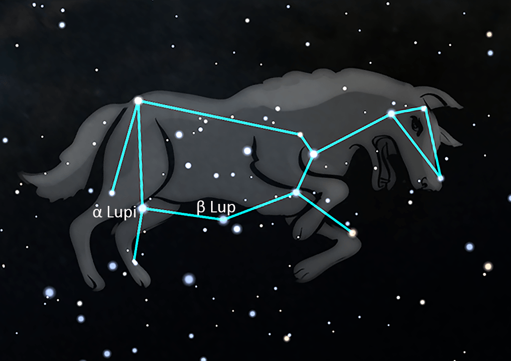 Lupus
