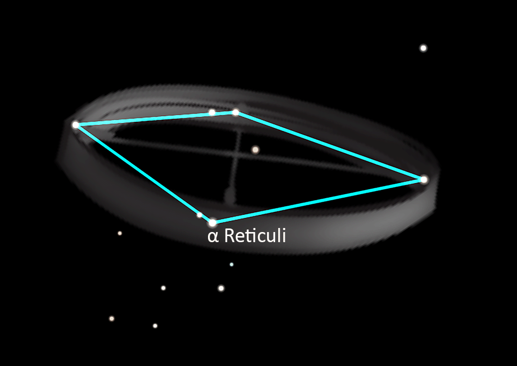 Reticulum