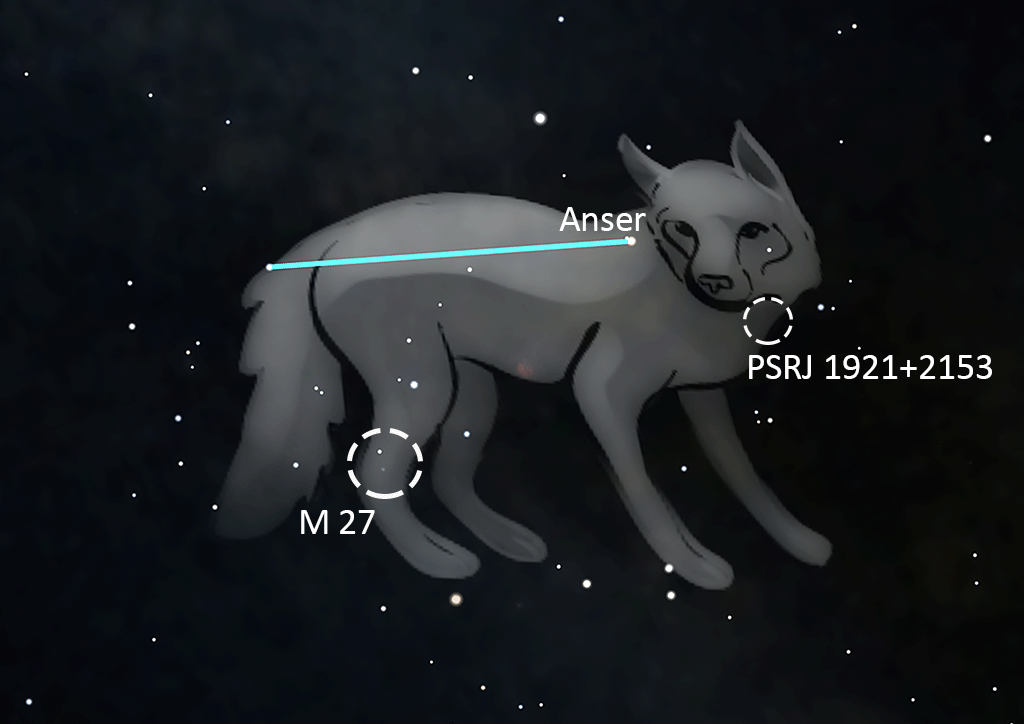 Vulpecula